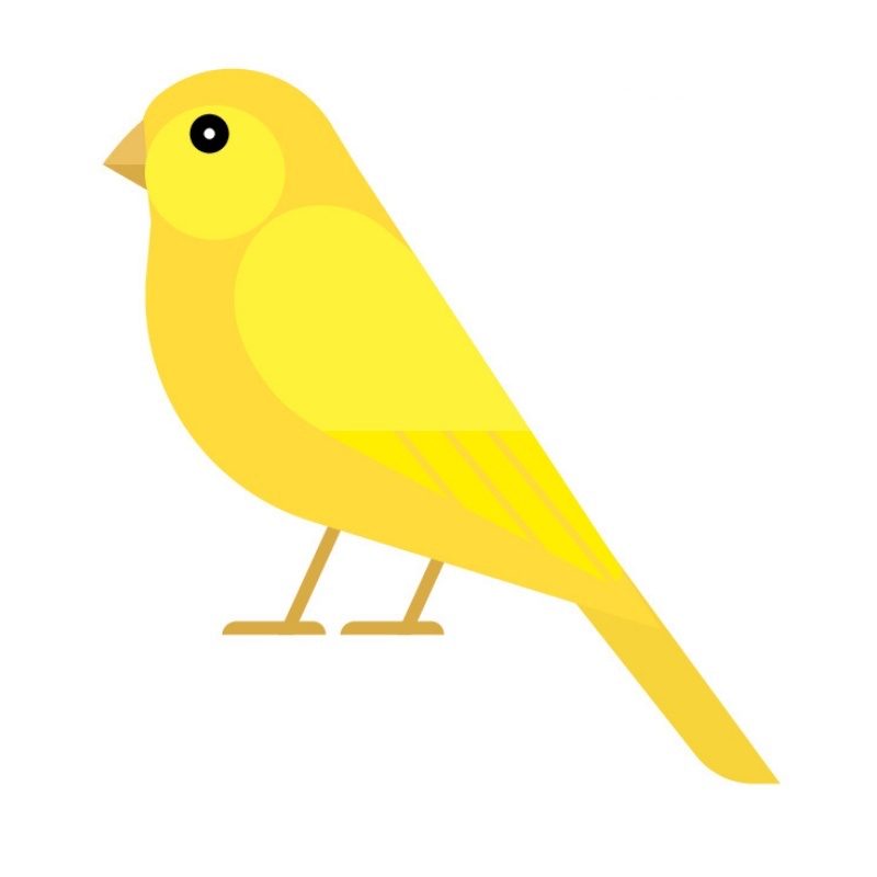 Angielski dla dzieci - Pets.