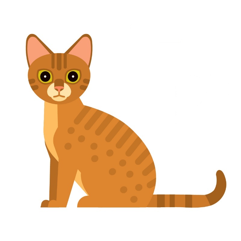 Angielski dla dzieci - Pets.