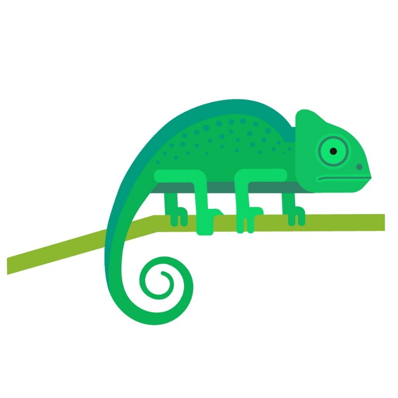 Angielski dla dzieci - Pets.