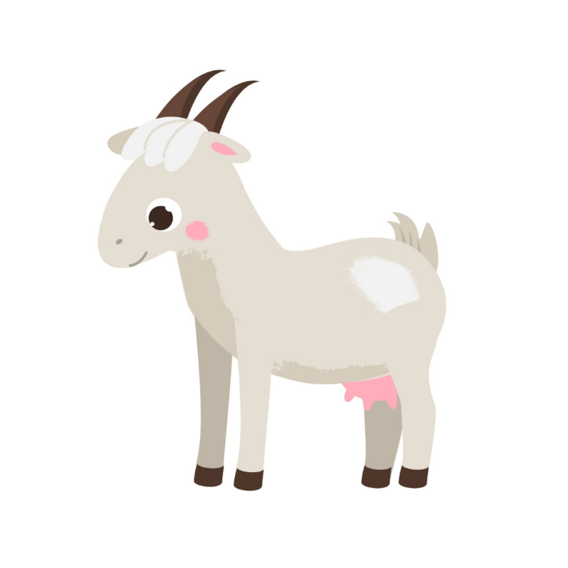 Angielski dla dzieci - Farm animals.