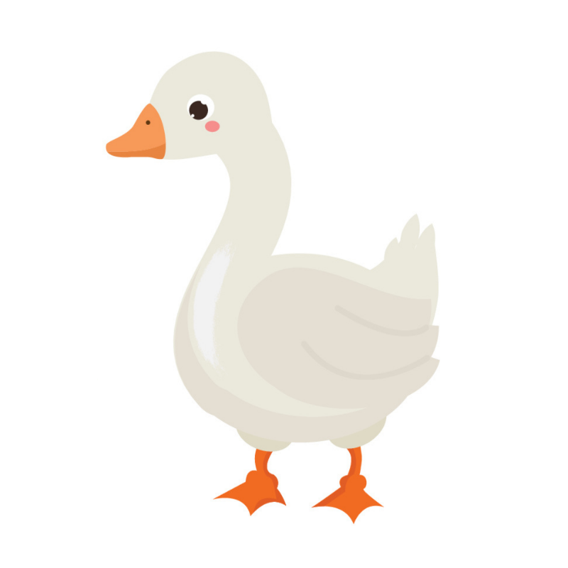 Angielski dla dzieci - Farm animals.