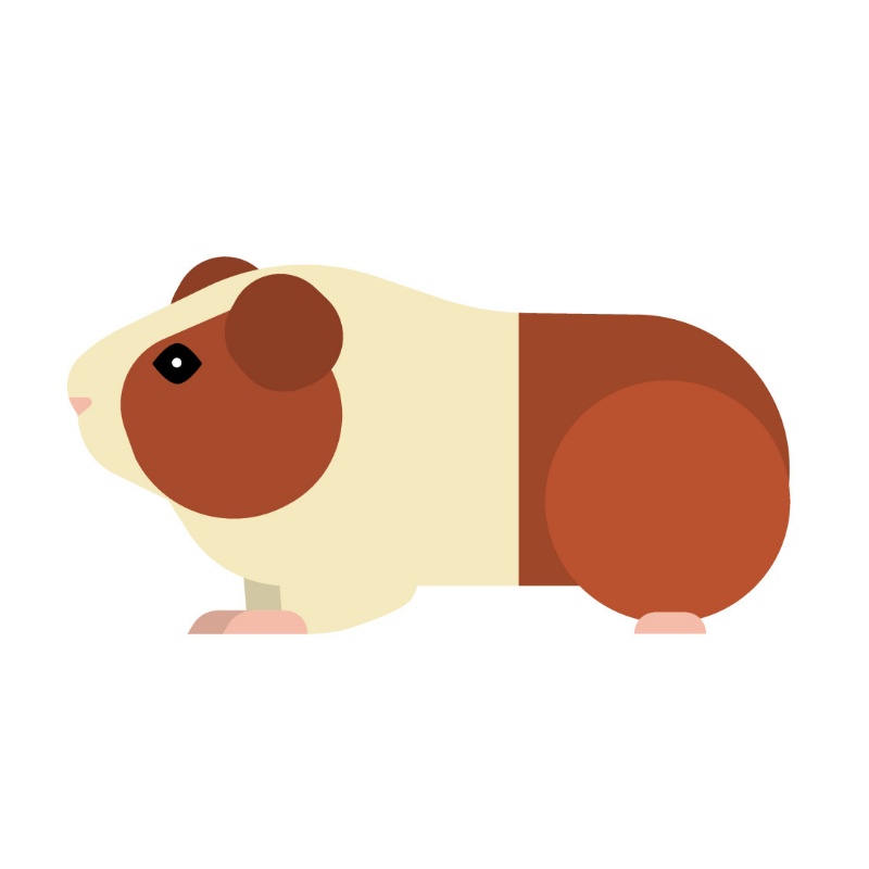 Angielski dla dzieci - Pets.