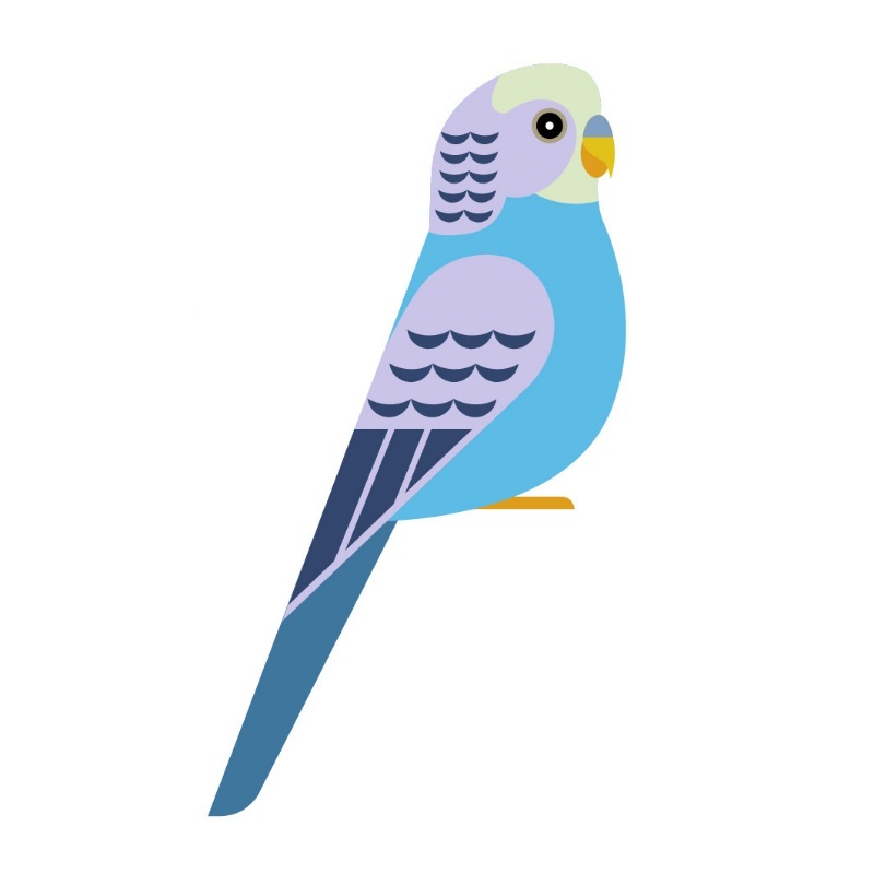 Angielski dla dzieci - Pets.